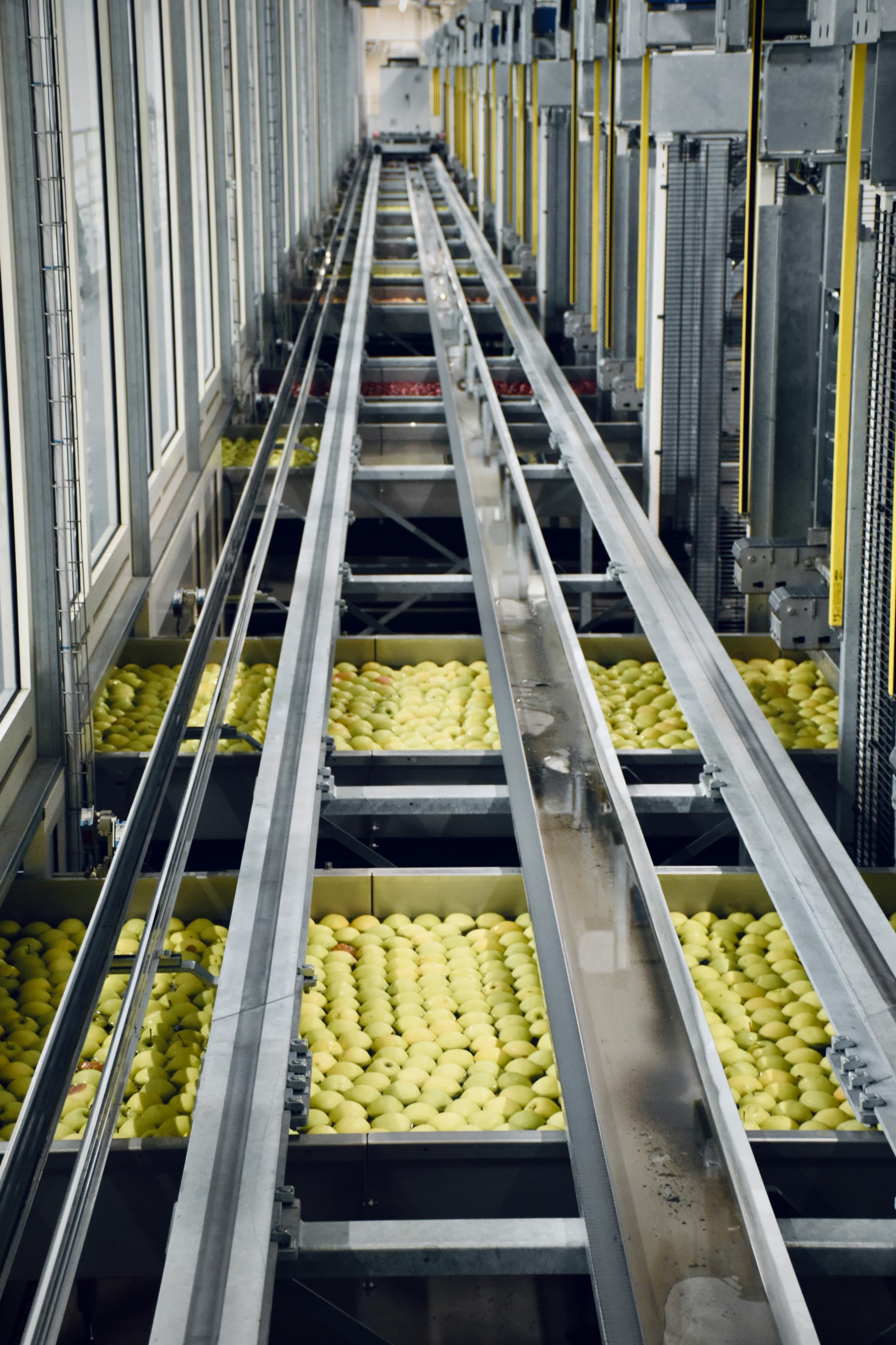 Win MATA production line